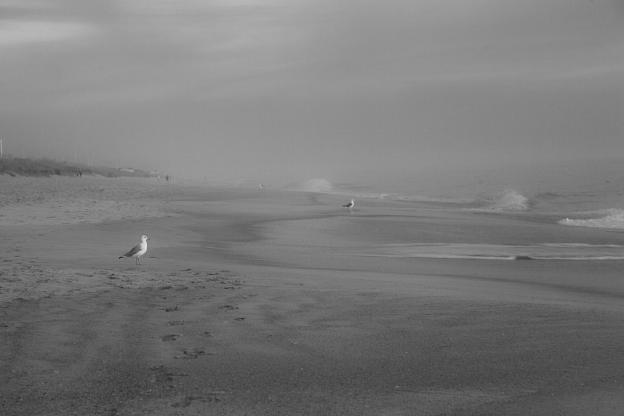 Foggy Beach OBX